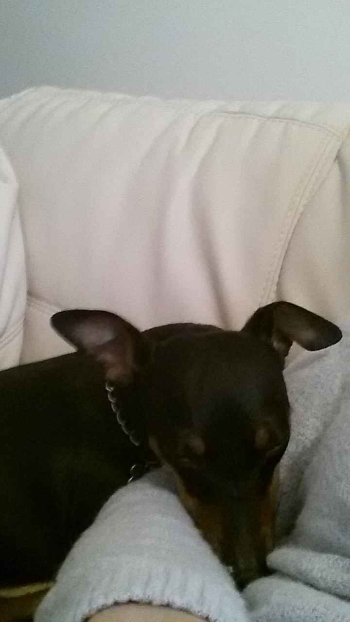 E miky, il mio adorato e amato cagnolino?!  - 1