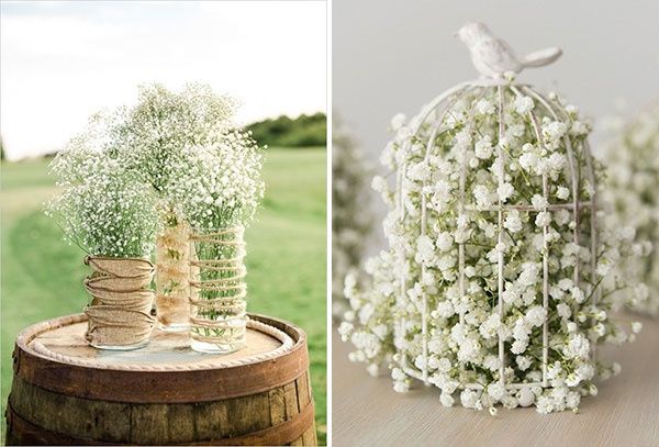 Ortensie e peonie a settembre - 3