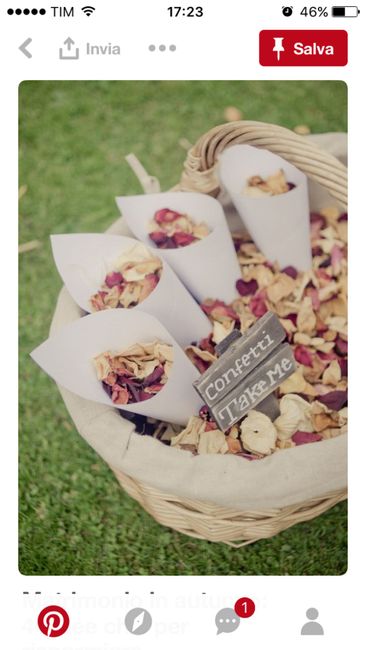 Tema cesta per contenere i coni portariso 4