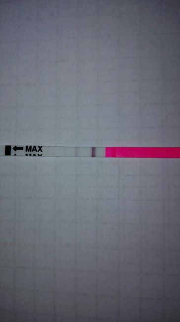 Ovulazione e stick clearblue - 1