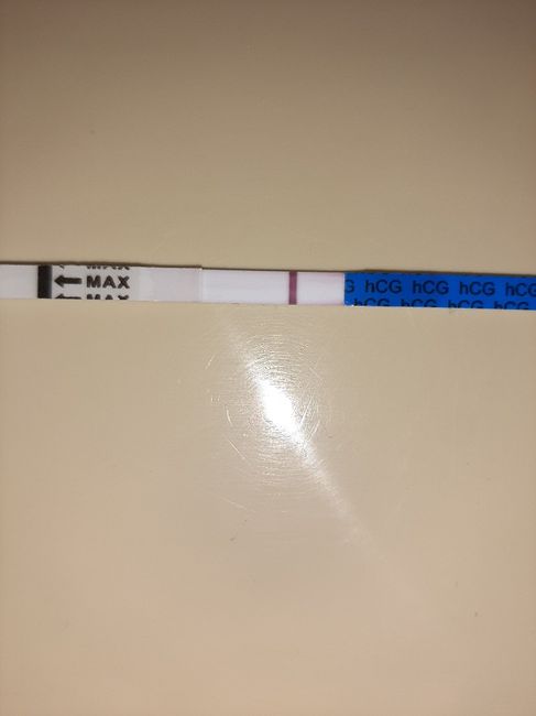 Chi non le aspetta per Marzo 2020 - 1