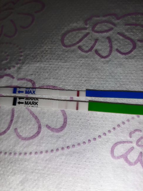 Chi non le aspetta per Marzo 2020 - 1