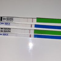 Chi non le aspetta per Marzo 2020 - 1