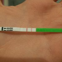 Chi non le aspetta per Marzo 2020 - 1