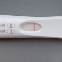 Chi non le aspetta per Aprile 2020 - 1