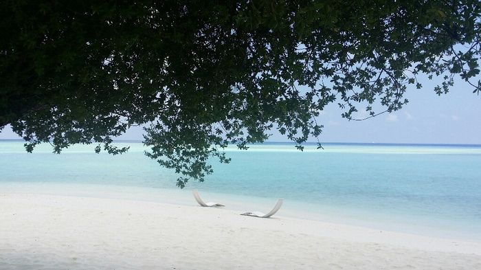 Maldive - 5