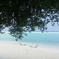 Maldive - 5