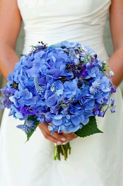 Colore matrimonio - 1