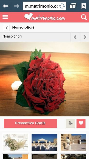 I vostri bouquet? :-) - 1