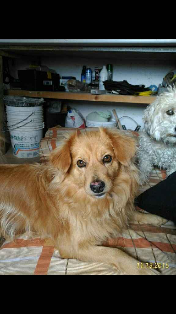 Cake topper arrivato! - 4