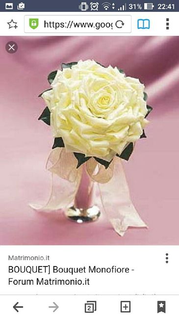 Opinioni bouquet - 2