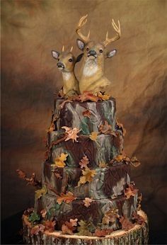 L'angolo delle "torte" particolari - 2