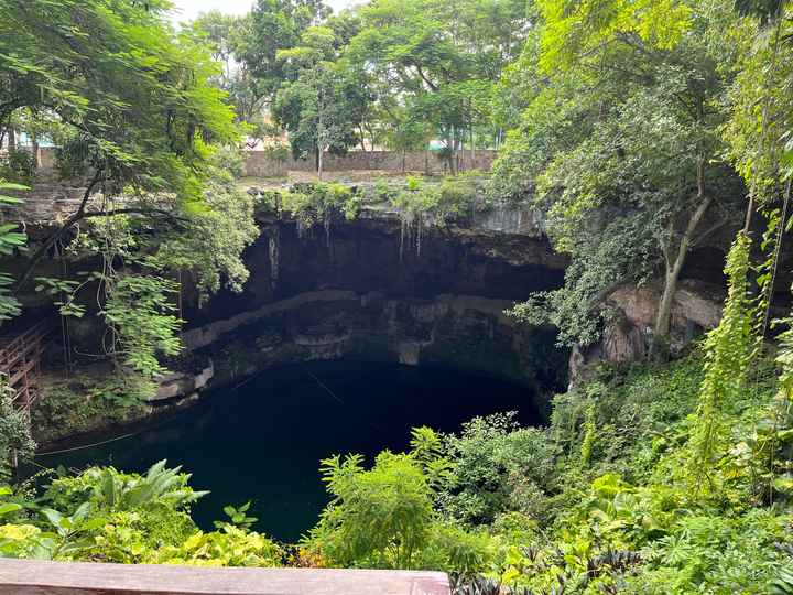 Messico situazione alghe / sargasso ??? - 1