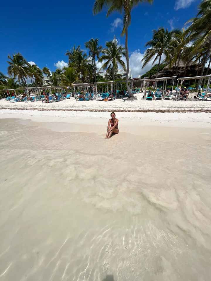 Messico situazione alghe / sargasso ??? - 4