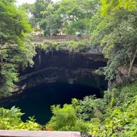 Messico situazione alghe / sargasso ??? - 1