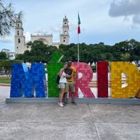 Messico situazione alghe / sargasso ??? - 2