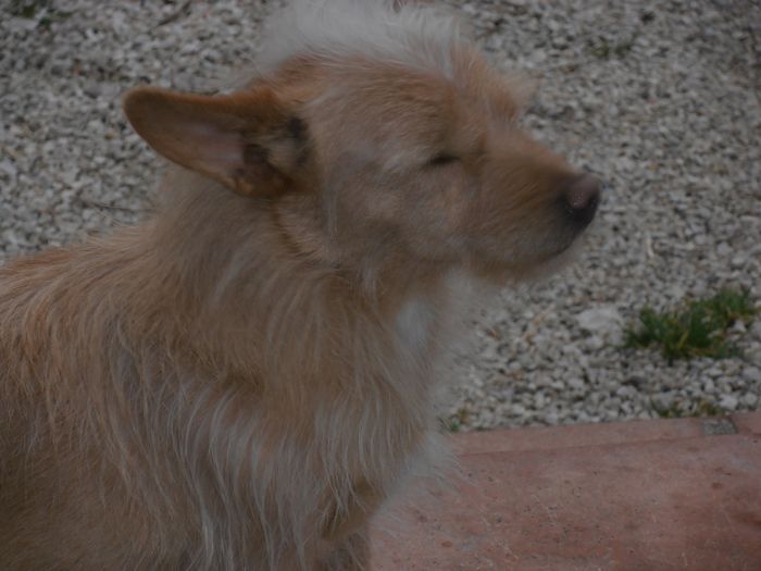 il migliore del bed and breakfast