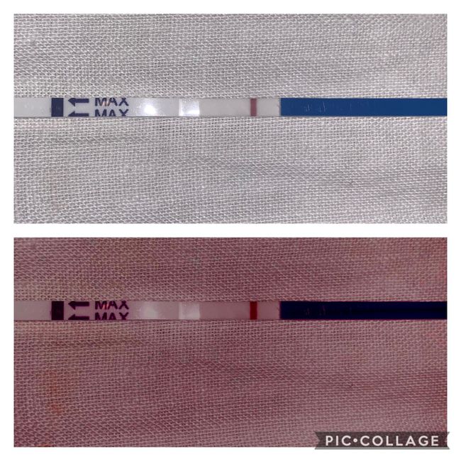 Chi non le aspetta per settembre 2020 🍀🐞🤞🌈🌻🎁🏖️🌞💝 - 1