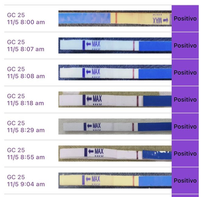 Chi non le aspetta per Novembre  2020 🍀❤️🍀❤️🍀❤️🍀❤️🍀❤️🍀❤️🍀 - 1