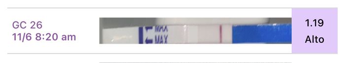 Chi non le aspetta per Novembre  2020 🍀❤️🍀❤️🍀❤️🍀❤️🍀❤️🍀❤️🍀 - 1