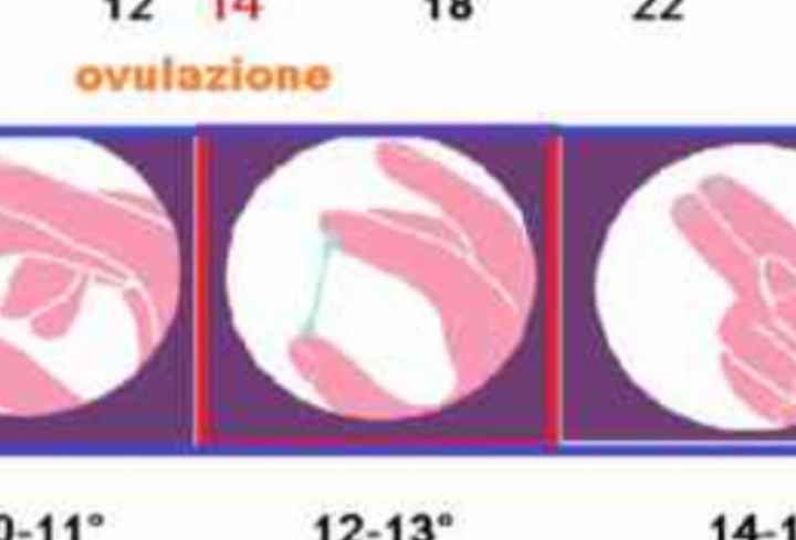 Per chi non le aspetta per febbraio 2020 - 1