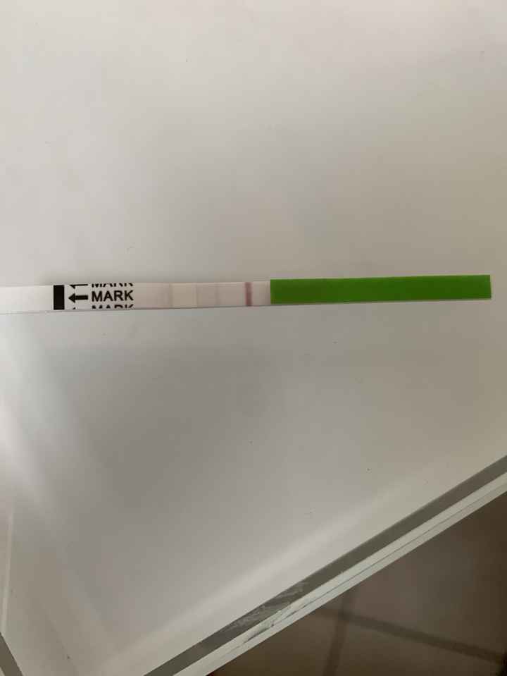 🌺Chi non le aspetta per agosto 🎁🏖️🌞💛💚❤️💝🌻🌷 - 1