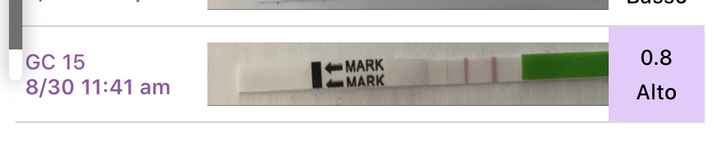 Chi non le aspetta per settembre 2020 🍀🐞🤞🌈🌻🎁🏖️🌞💝 - 1