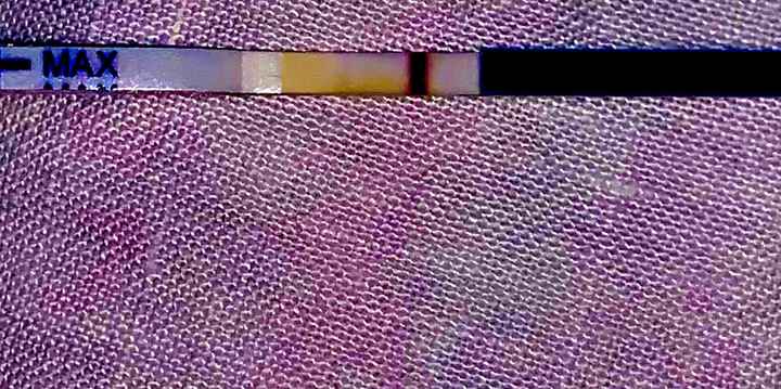 Chi non le aspetta per settembre 2020 🍀🐞🤞🌈🌻🎁🏖️🌞💝 - 1