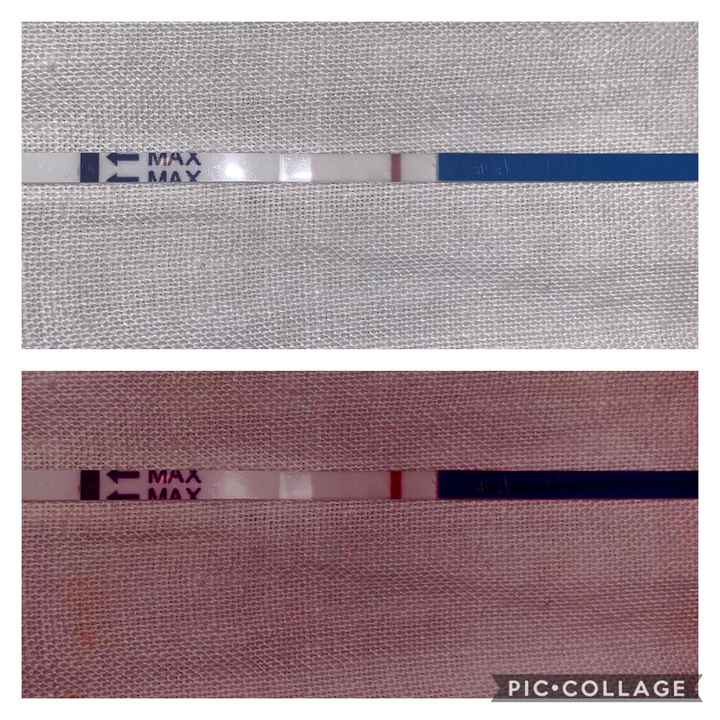 Chi non le aspetta per settembre 2020 🍀🐞🤞🌈🌻🎁🏖️🌞💝 - 1