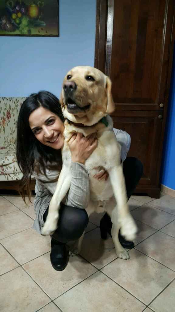 Le foto con i nostri pelosoni - 1