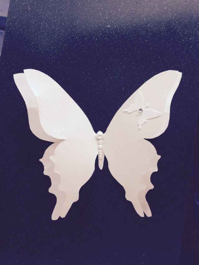 Soddisfatta!!!!!! - 1