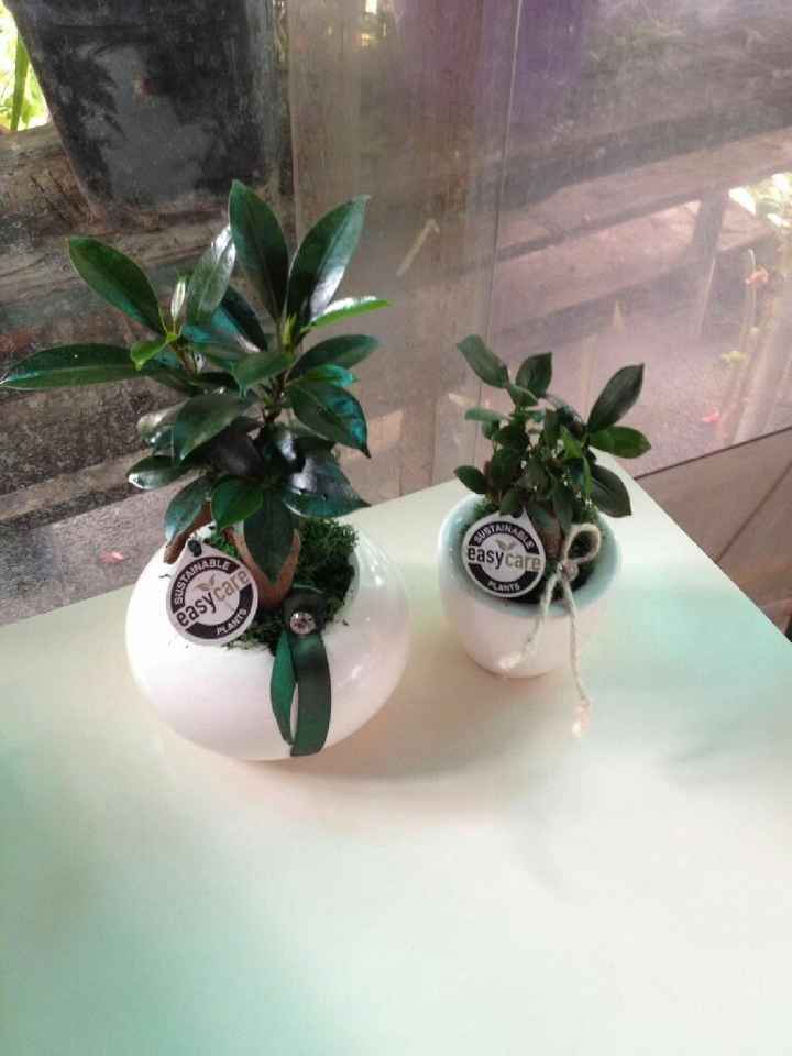 Che bomboniera avete scelto? - 2