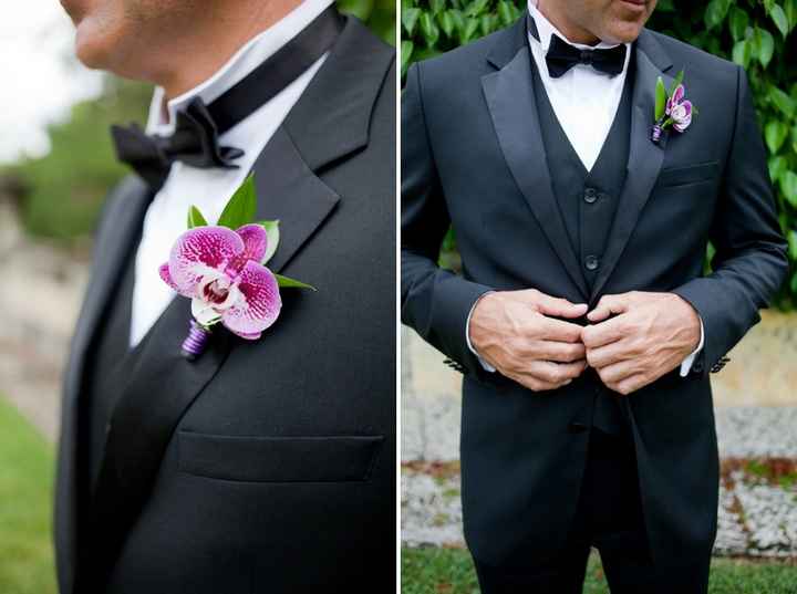 purple bridegroom