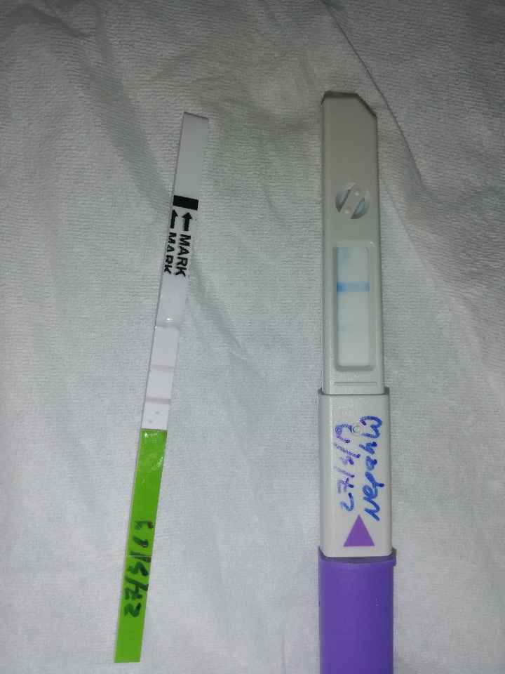 test canadesi o Clearblue? - 1