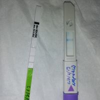 test canadesi o Clearblue? - 1