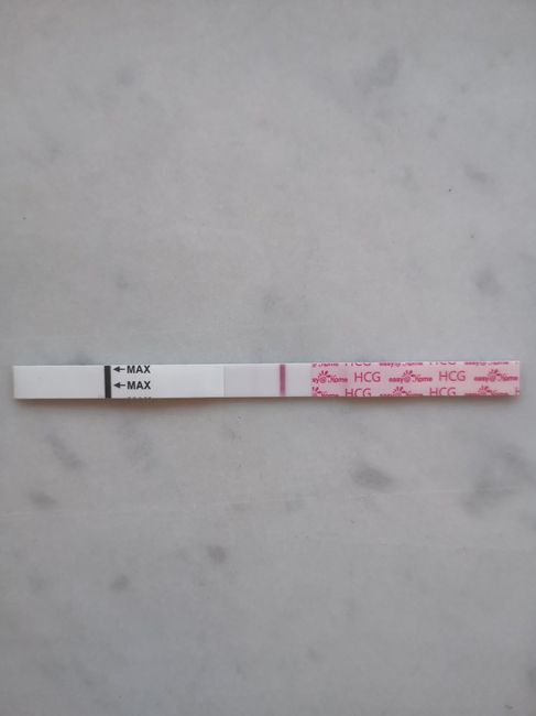 Chi non le aspetta per Dicembre 2023 😬🎁🎄❄️ 2