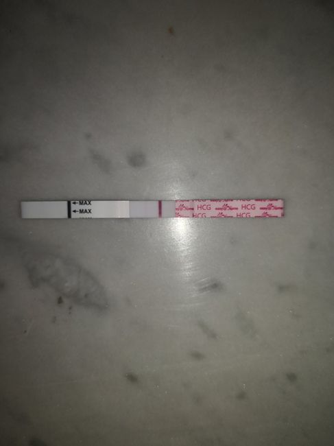 Chi non le aspetta per Dicembre 2023 😬🎁🎄❄️ 1