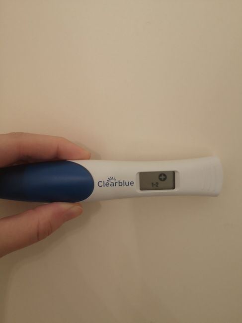 Chi non le aspetta per Dicembre 2023 😬🎁🎄❄️ - 1