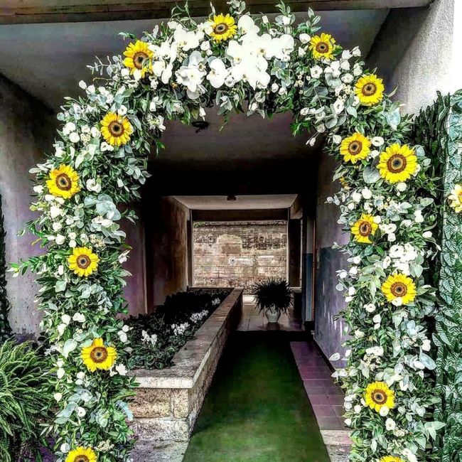 Orchidee a settembre 3