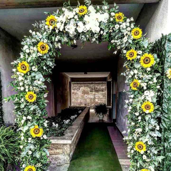 Orchidee a settembre - 1