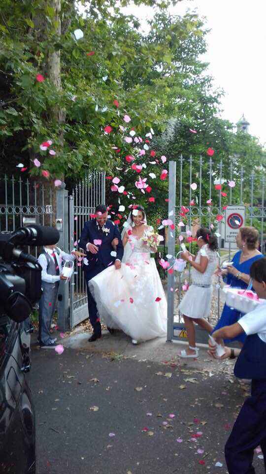 Petali di rosa artificiali - 1