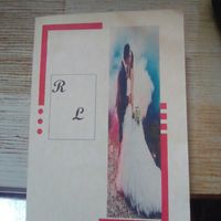  Partecipazioni a mano - 1