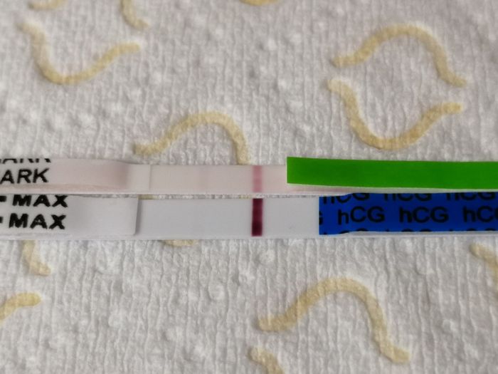 Aspiranti mamme Agosto 2019 ❣️ 5