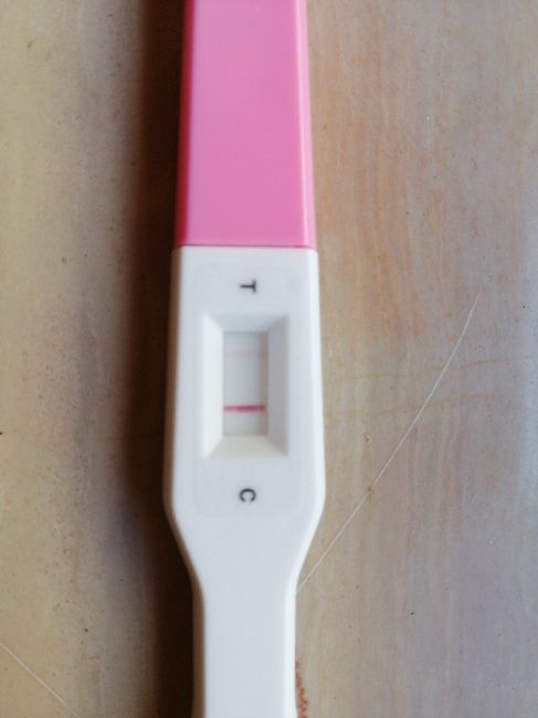 Aspiranti mamme Agosto 2019 ❣️ 3