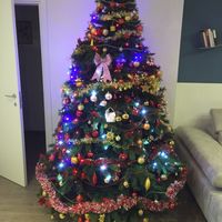 Il vostro albero di Natale! - 1