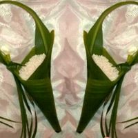 Coni porta riso, con foglie? - 1