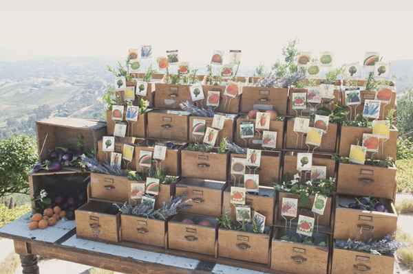 Tableau con cassette di frutta