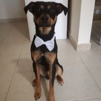 Il mio invitato speciale! - 1