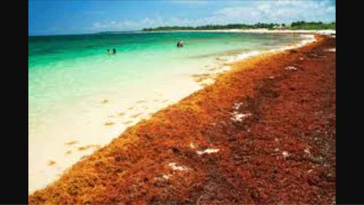 Viaggio di nozze in messico - 1