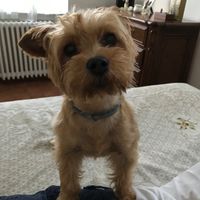 Camera da letto&salotto♡ - 1